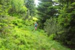 2014-07-05_Laengental-N-Hochweg (682). JPG